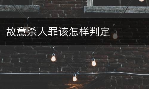 故意杀人罪该怎样判定