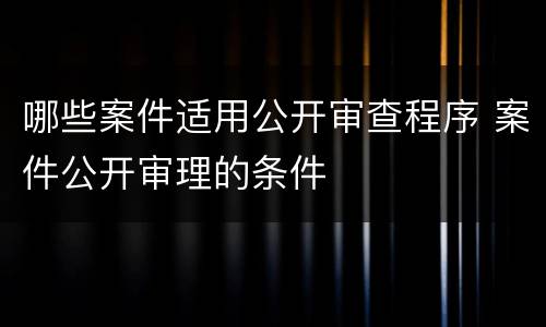 哪些案件适用公开审查程序 案件公开审理的条件