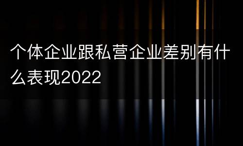 个体企业跟私营企业差别有什么表现2022