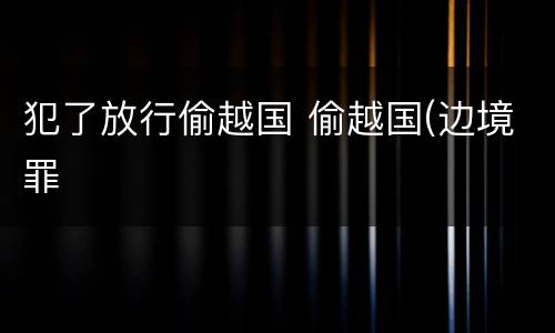 犯了放行偷越国 偷越国(边境罪