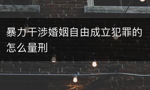 暴力干涉婚姻自由成立犯罪的怎么量刑