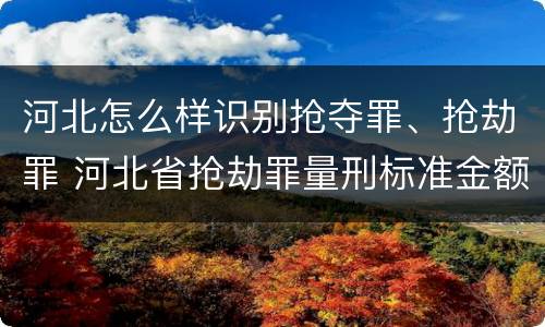河北怎么样识别抢夺罪、抢劫罪 河北省抢劫罪量刑标准金额