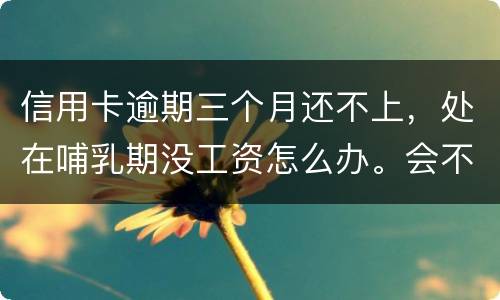 信用卡逾期三个月还不上，处在哺乳期没工资怎么办。会不会被起诉，会不会被坐牢啊