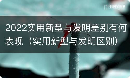 2022实用新型与发明差别有何表现（实用新型与发明区别）