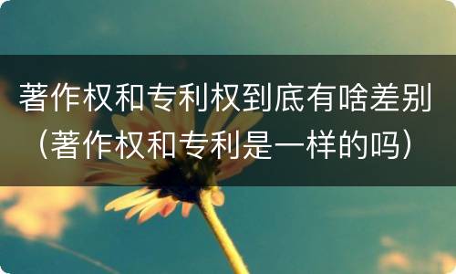 著作权和专利权到底有啥差别（著作权和专利是一样的吗）