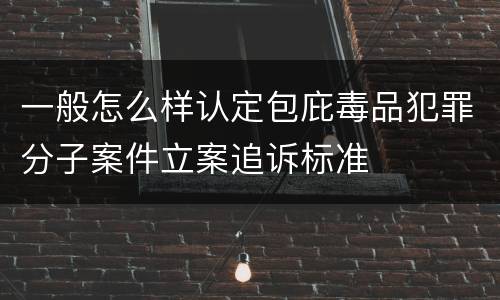一般怎么样认定包庇毒品犯罪分子案件立案追诉标准