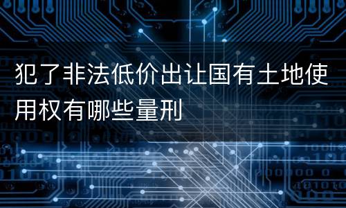 犯了非法低价出让国有土地使用权有哪些量刑