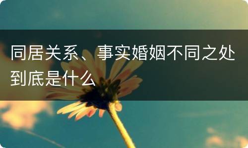 同居关系、事实婚姻不同之处到底是什么