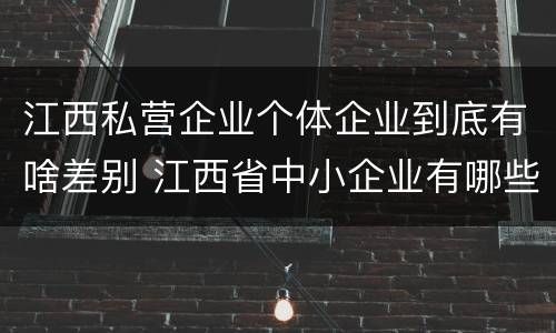 江西私营企业个体企业到底有啥差别 江西省中小企业有哪些