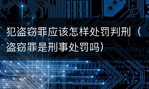 犯盗窃罪应该怎样处罚判刑（盗窃罪是刑事处罚吗）