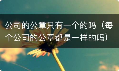 公司的公章只有一个的吗（每个公司的公章都是一样的吗）