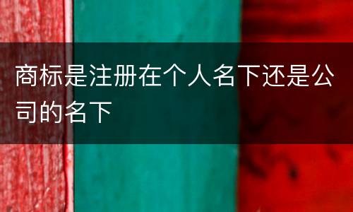 商标是注册在个人名下还是公司的名下