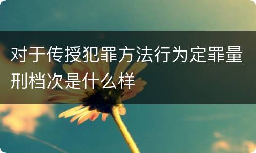 对于传授犯罪方法行为定罪量刑档次是什么样
