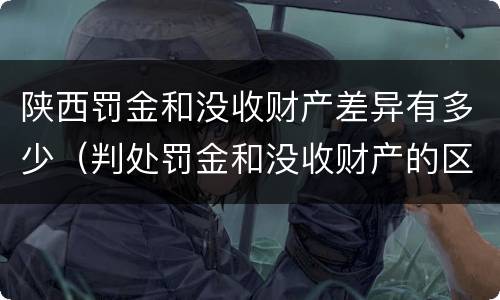 陕西罚金和没收财产差异有多少(判处罚金和没收财产的区别)