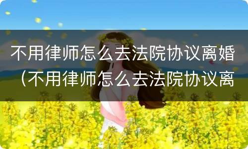 不用律师怎么去法院协议离婚（不用律师怎么去法院协议离婚呢）