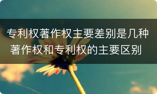 专利权著作权主要差别是几种 著作权和专利权的主要区别