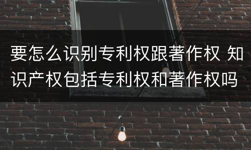 要怎么识别专利权跟著作权 知识产权包括专利权和著作权吗
