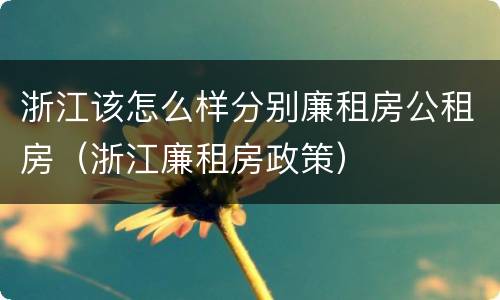 浙江该怎么样分别廉租房公租房（浙江廉租房政策）