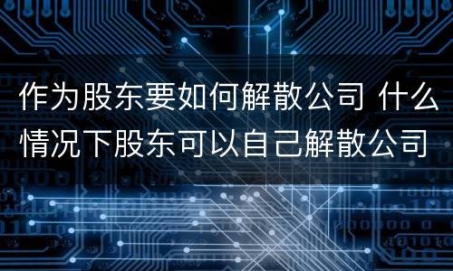 作为股东要如何解散公司 什么情况下股东可以自己解散公司