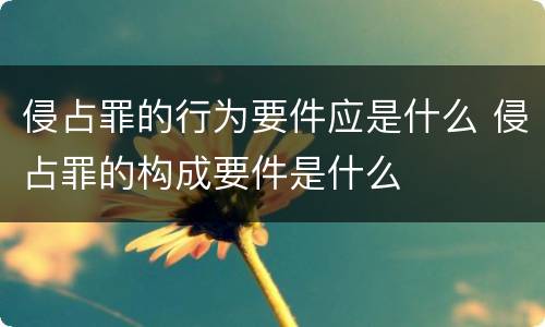 侵占罪的行为要件应是什么 侵占罪的构成要件是什么