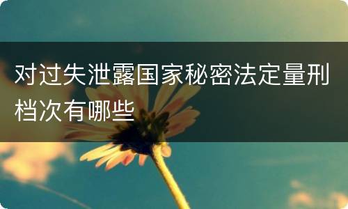 对过失泄露国家秘密法定量刑档次有哪些