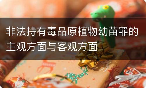 非法持有毒品原植物幼苗罪的主观方面与客观方面