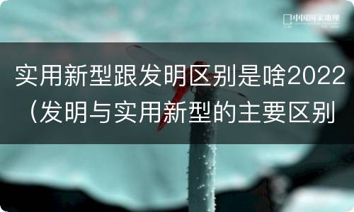 实用新型跟发明区别是啥2022（发明与实用新型的主要区别）