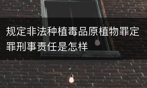 规定非法种植毒品原植物罪定罪刑事责任是怎样