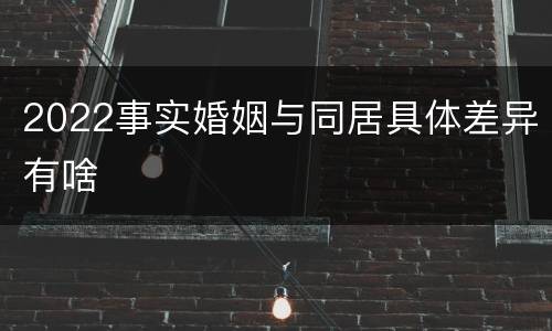2022事实婚姻与同居具体差异有啥
