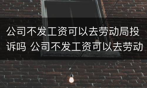 公司不发工资可以去劳动局投诉吗 公司不发工资可以去劳动局投诉吗有用吗