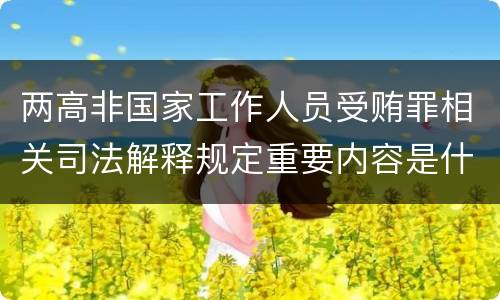两高非国家工作人员受贿罪相关司法解释规定重要内容是什么