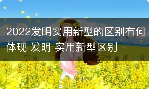 2022发明实用新型的区别有何体现 发明 实用新型区别