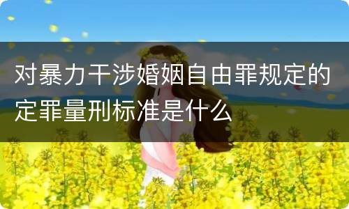 对暴力干涉婚姻自由罪规定的定罪量刑标准是什么