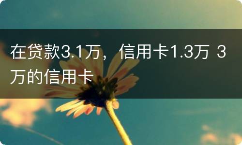 在贷款3.1万，信用卡1.3万 3万的信用卡