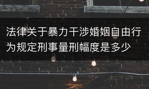 法律关于暴力干涉婚姻自由行为规定刑事量刑幅度是多少