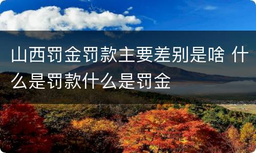 山西罚金罚款主要差别是啥 什么是罚款什么是罚金