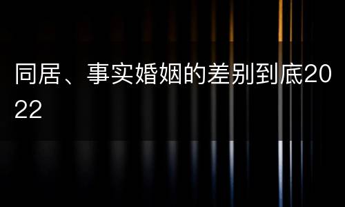 同居、事实婚姻的差别到底2022