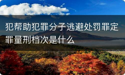 犯帮助犯罪分子逃避处罚罪定罪量刑档次是什么