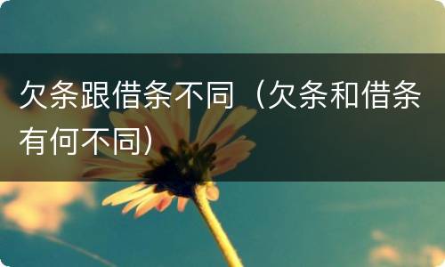 欠条跟借条不同（欠条和借条有何不同）