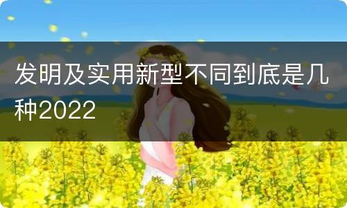 发明及实用新型不同到底是几种2022