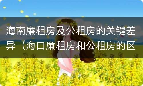 海南廉租房及公租房的关键差异（海口廉租房和公租房的区别）
