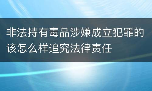 非法持有毒品涉嫌成立犯罪的该怎么样追究法律责任