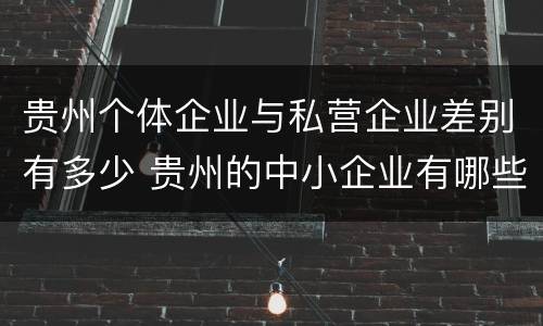 贵州个体企业与私营企业差别有多少 贵州的中小企业有哪些