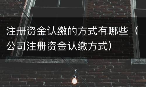 注册资金认缴的方式有哪些（公司注册资金认缴方式）