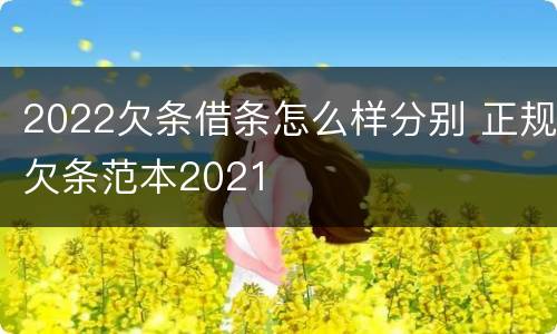 2022欠条借条怎么样分别 正规欠条范本2021