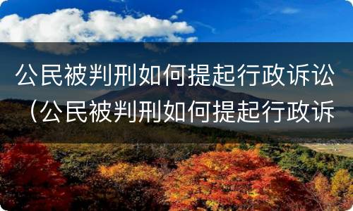 公民被判刑如何提起行政诉讼（公民被判刑如何提起行政诉讼）