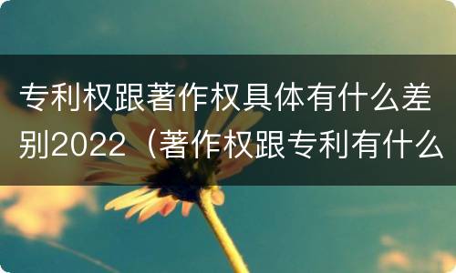 专利权跟著作权具体有什么差别2022（著作权跟专利有什么区别）