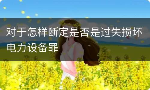 对于怎样断定是否是过失损坏电力设备罪