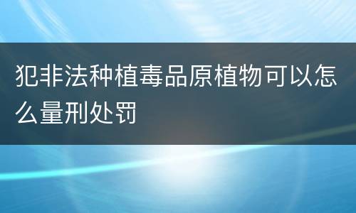犯非法种植毒品原植物可以怎么量刑处罚