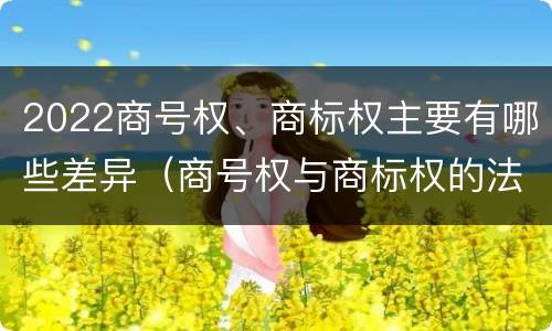 2022商号权、商标权主要有哪些差异（商号权与商标权的法律冲突与解决）